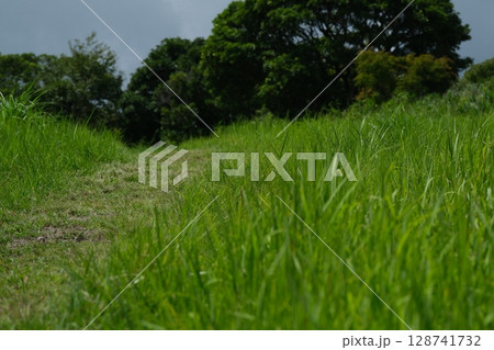 自然が広がる野道 128741732