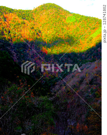 静岡県・大井川鉄道・関の沢展望所 128741802