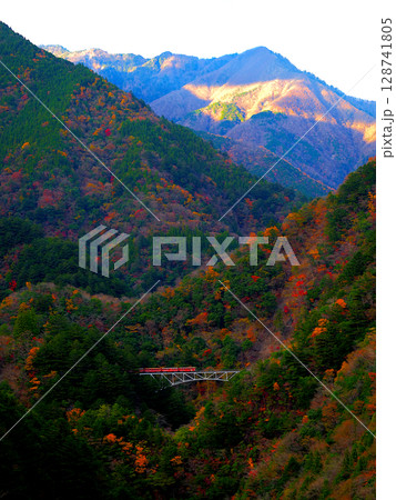 静岡県・大井川鉄道・関の沢展望所 128741805