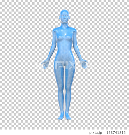 人間の体型モデル, 女性, 人体, AI, アンドロイド 128741813