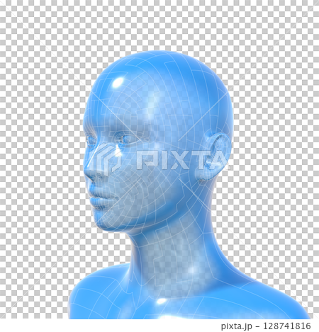 Human Head Model, Female, Human Body, AI, Android Human Head Model, Female, Human Body, AI, Android 128741816
