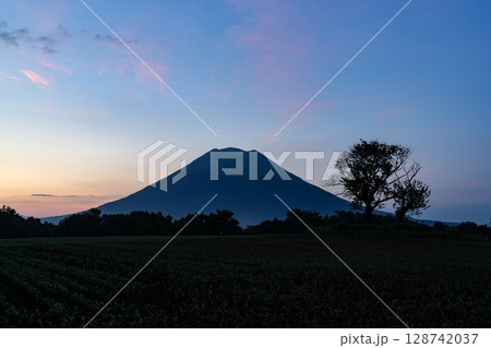 朝焼けの羊蹄山 128742037