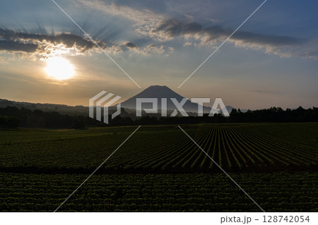 朝焼けの羊蹄山 朝焼けの羊蹄山 128742054