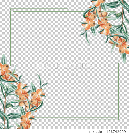 Square frame with corner elements of sea buckthorn branches. Isolated watercolor illustration for tea menu design, postcards, signs, coffee shop design, poster printing, calendars. 128742069