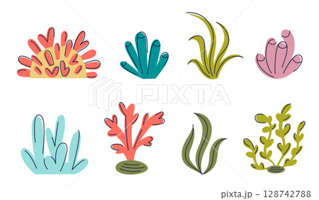Flat cartoon vector set of colorful corals and seaweeds. Marine flora and fauna of ocean floor in various shapes and hues. Underwater theme, aquarium design, educational and decorative content 128742788