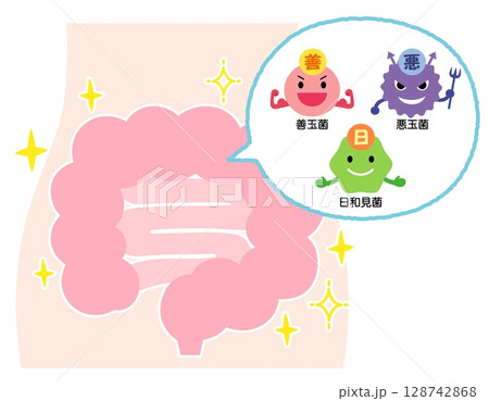 腸内環境　善玉菌　悪玉菌　日和見菌　元気な腸内 128742868