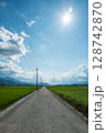 【徳島県】善入寺島の風景 128742870