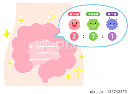 腸内環境　善玉菌　悪玉菌　日和見菌　元気な腸内 128742876