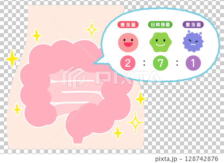 腸内環境　善玉菌　悪玉菌　日和見菌　元気な腸内 128742876