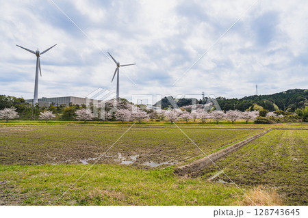 磐田市の亀井戸城跡周辺の桜の風景(静岡県) 128743645