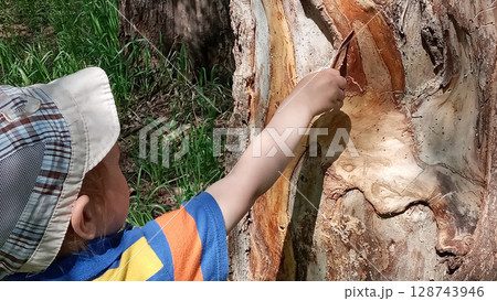 Young boy in a blue shirt and hat gently touching a rough tree trunk with his finger Young boy in a blue shirt and hat gently touching a rough tree trunk with his finger 128743946