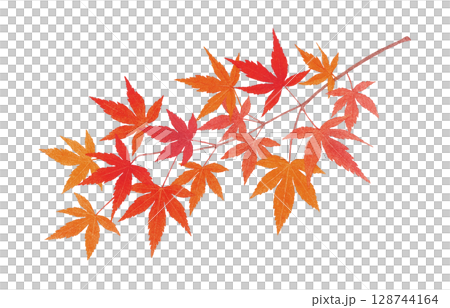 楓葉，秋葉，樹枝，插圖，水彩畫 128744164