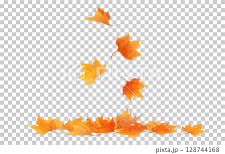 Fallen leaves illustration watercolor plane tree Fallen leaves illustration watercolor plane tree 128744168