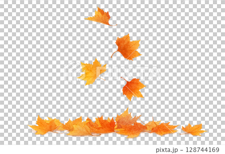 Fallen leaves illustration watercolor plane tree Fallen leaves illustration watercolor plane tree 128744169