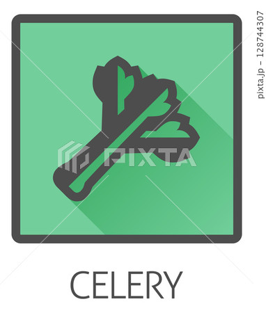 Celery Vegetable Food Allergen Icon Concept 128744307