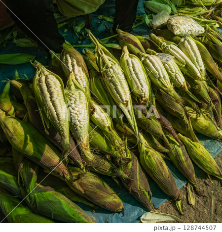 Freshly harvested corn displayed in local market Freshly harvested corn displayed in local market 128744507