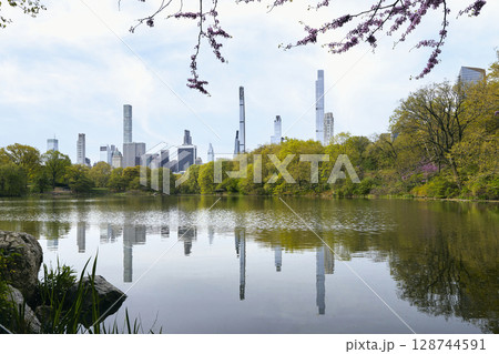 Skyscrapers seen from Central Park 128744591