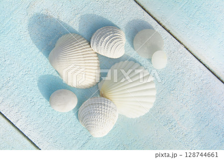 Overhead view of white sea shells Overhead view of white sea shells 128744661