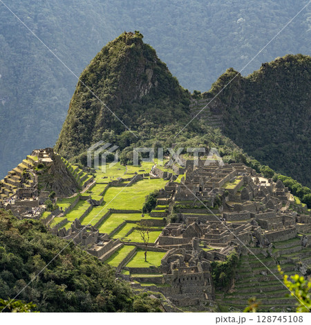 Terraced ruins and hillsides of Machu Picchu 128745108