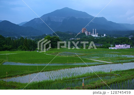 寺坂棚田ホタルかがり火祭の風景　埼玉 128745459
