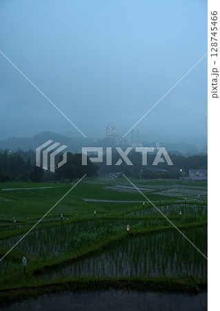 寺坂棚田ホタルかがり火祭の風景 埼玉 寺坂棚田ホタルかがり火祭の風景 埼玉 128745466