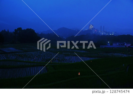 寺坂棚田ホタルかがり火祭の風景 埼玉 寺坂棚田ホタルかがり火祭の風景 埼玉 128745474