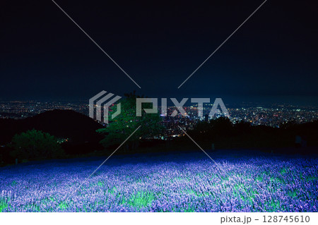 夜のラベンダー園 128745610