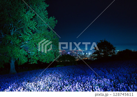 夜のラベンダー園 128745611