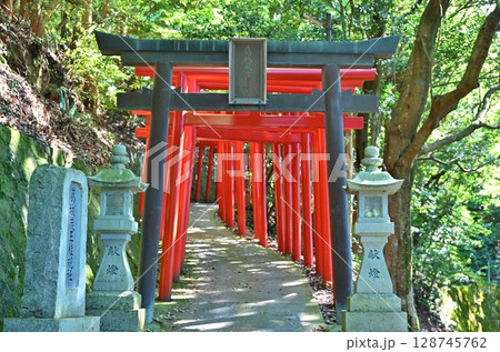 葛城蔵王権現社の赤い鳥居　和歌山 128745762