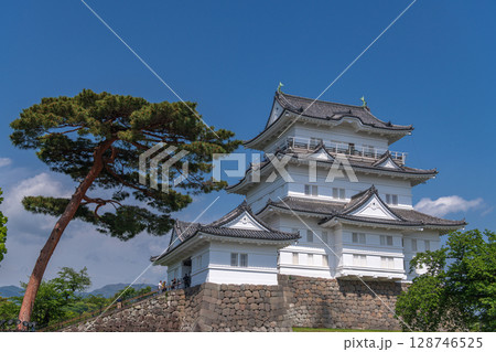 小田原城 本丸天守閣 128746525