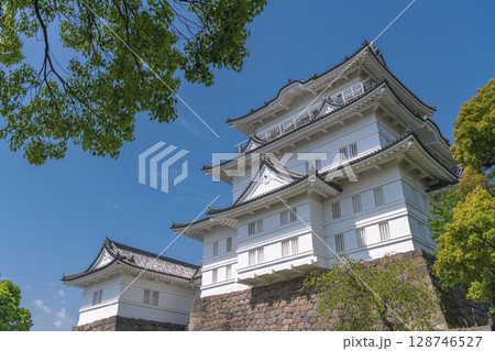 小田原城 本丸天守閣 小田原城 本丸天守閣 128746527