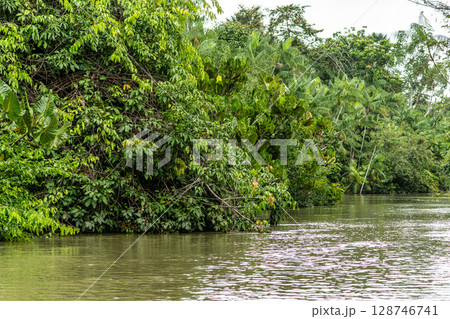 River boat tour on the Guama River at Belem do Para, a city on the north area of Brazil. 128746741