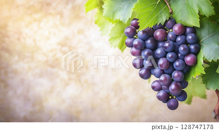 Bunch of dark grapes with green leaves on a textured background 128747178