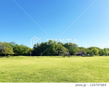晴れた日の公園の広場と青空 晴れた日の公園の広場と青空 128747864
