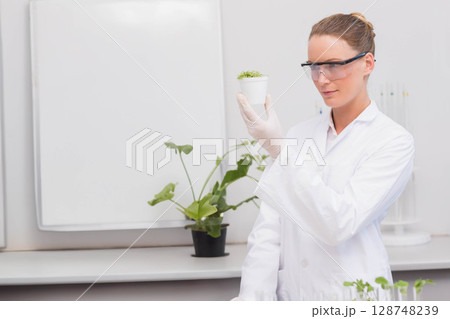 Female scientist examining small potted seedling at lab bench with larger plant and test tube rack 128748239