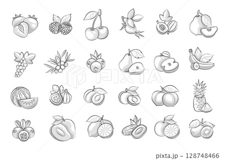Fruits Set. Rustic Vintage Line Art Illustrations, farming, engraved sketch style. The elements, and icons are clean but textured Fruits Set. Rustic Vintage Line Art Illustrations, farming, engraved sketch style. The elements, and icons are clean but textured 128748466