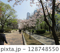 ソウル・汝矣島の桜 128748550