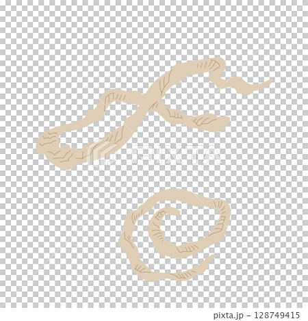 Snake's shell Snake's shell 128749415