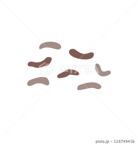 動物のフン 動物のフン 128749416