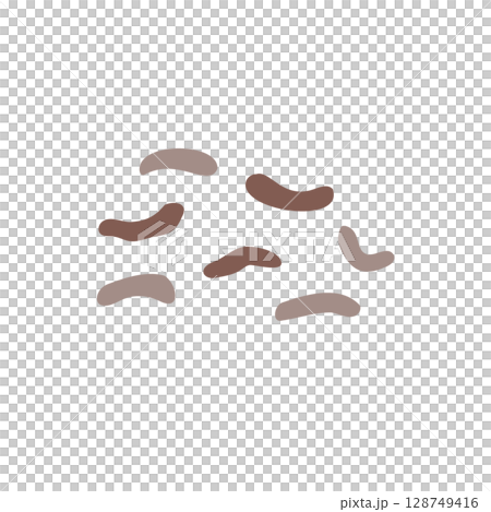 動物のフン 動物のフン 128749416