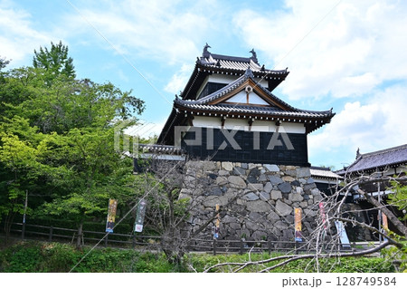 夏の大和郡山城　奈良 128749584