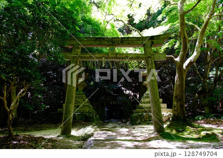 苔むした鳥居のある風景 128749704