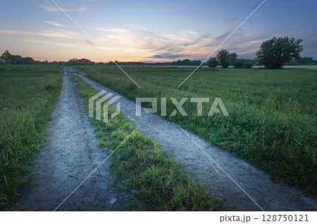 View from a dirt road in a green meadow to the sunset sky 128750121