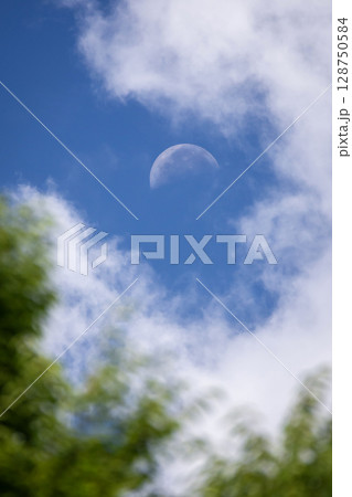 下弦の月 128750584