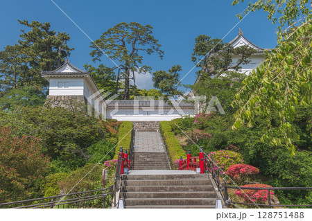 小田原城 常盤木橋から常盤木門を望む 128751488
