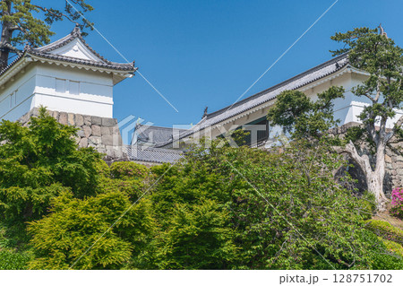 小田原城 本丸東堀跡から常盤木門を望む 小田原城 本丸東堀跡から常盤木門を望む 128751702