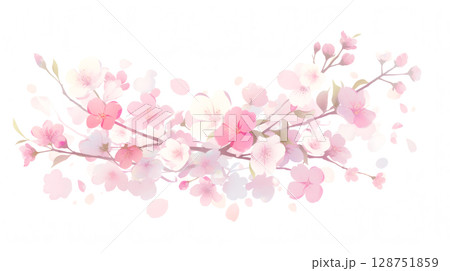 梅の花と花びら 128751859