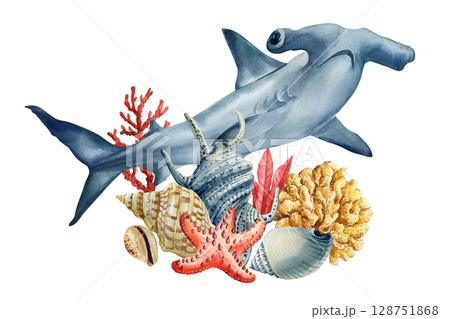 Hammerhead shark with tropical seashells coral and starfish watercolor underwater composition, wildlife drawing Hammerhead shark with tropical seashells coral and starfish watercolor underwater composition, wildlife drawing 128751868