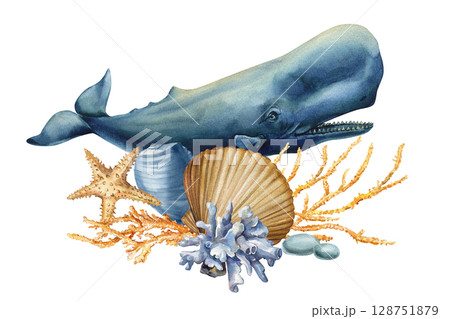 Sperm whale with coral starfish and seashells watercolor marine illustration for ocean projects Sperm whale with coral starfish and seashells watercolor marine illustration for ocean projects 128751879