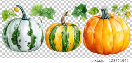 Pumpkin with fresh leaf transparent watercolor PNG clipart isolated on white background. Pumpkin with fresh leaf transparent watercolor PNG clipart isolated on white background. 128751943